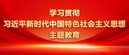 干肥黑老骚逼视频。学习贯彻习近平新时代中国特色社会主义思想主题教育_fororder_ad-371X160(2)